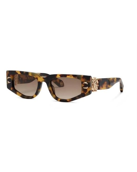 Roberto Cavalli Brown Src057M 0777