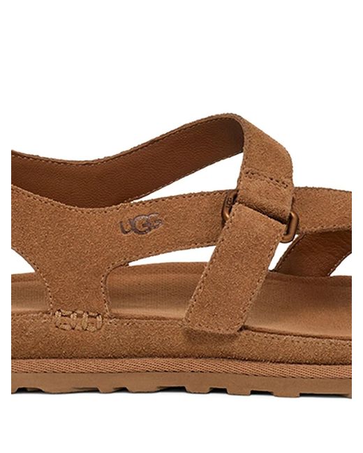 Ugg Brown W Goldengaze Toe Post
