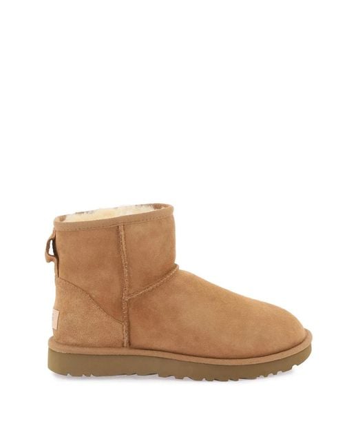 Ugg Brown Mini Classic Ii