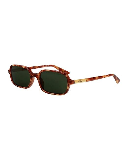 Chloé Green Havana-Havana- Acetate Sunglasses