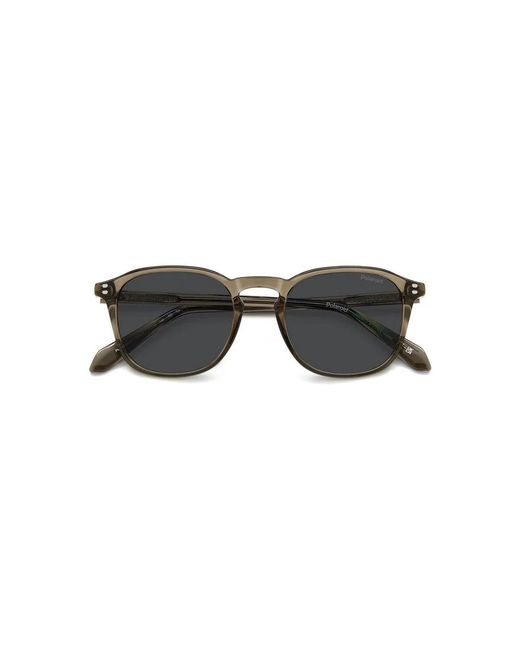 Polaroid Brown Pld 4203/S/X 09Q(M9) for men