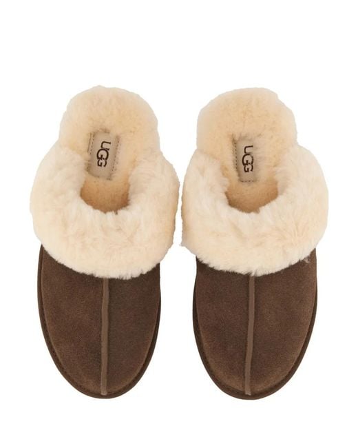 Ugg Brown Ciabatta Scuffette Ii