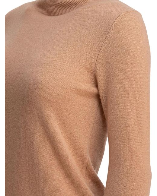 Kangra Brown Cashmere Knitwear