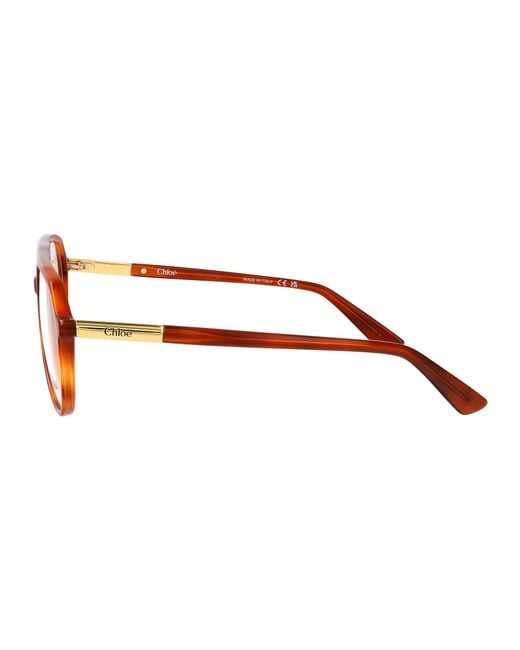 Chloé Brown Havana-Havana-Transparent Acetate Glasses