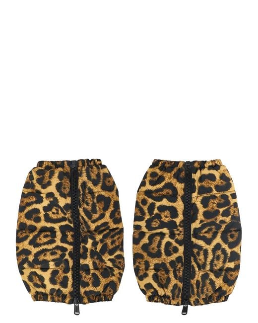 Goldbergh Multicolor 'Miao' Gaiter