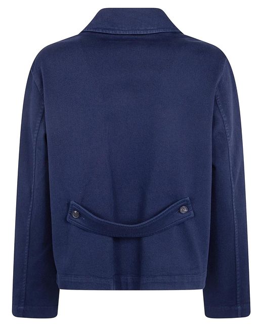 CIGALA'S Blue Jacket Redcapsule"