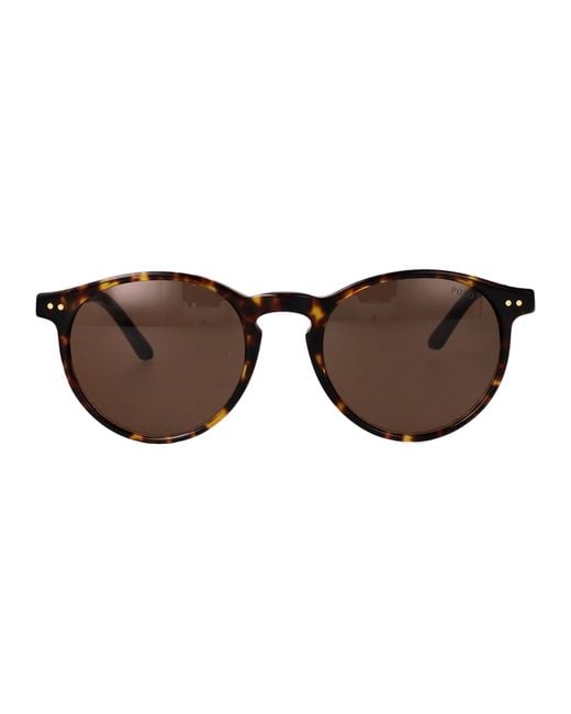 Polo Ralph Lauren Brown Acetate Sunglasses for men