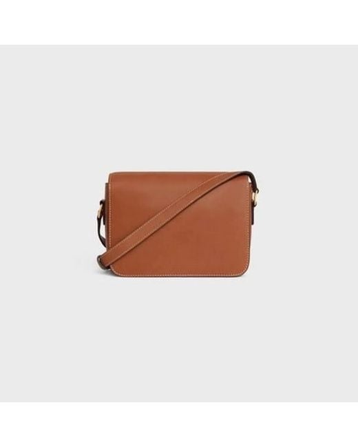 Céline Brown Teen Triomphe Handbag