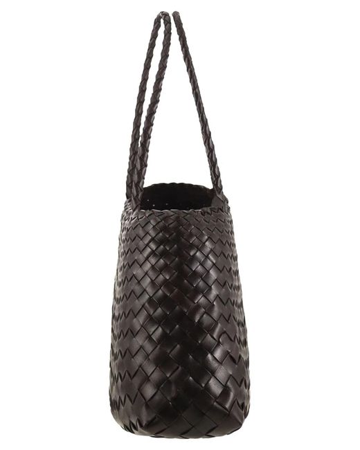 Dragon Black Santa Croce Big