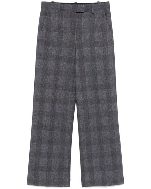 Circolo 1901 Gray Cotton Trousers