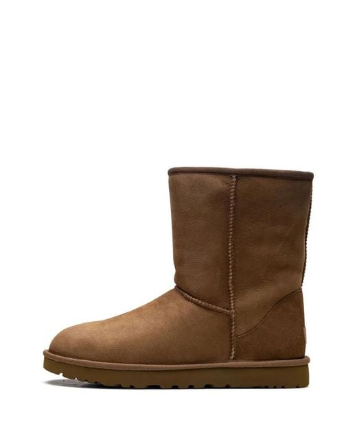 Ugg Brown "Classic Short Ii"