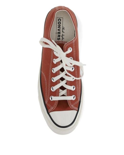 Converse Brown Cotton Sneakers