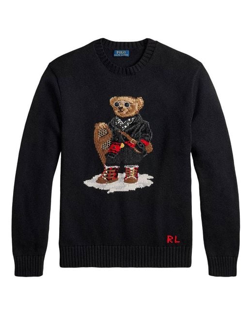 Polo Ralph Lauren Blue Bear Polo Sweater for men