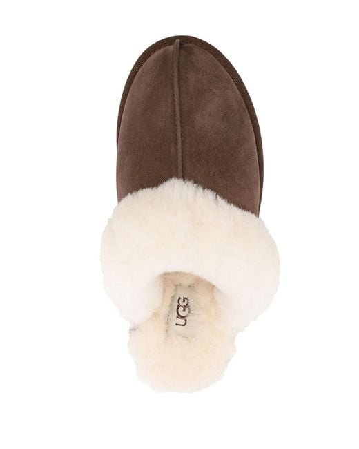 Ugg Brown Ciabatta Scuffette Ii