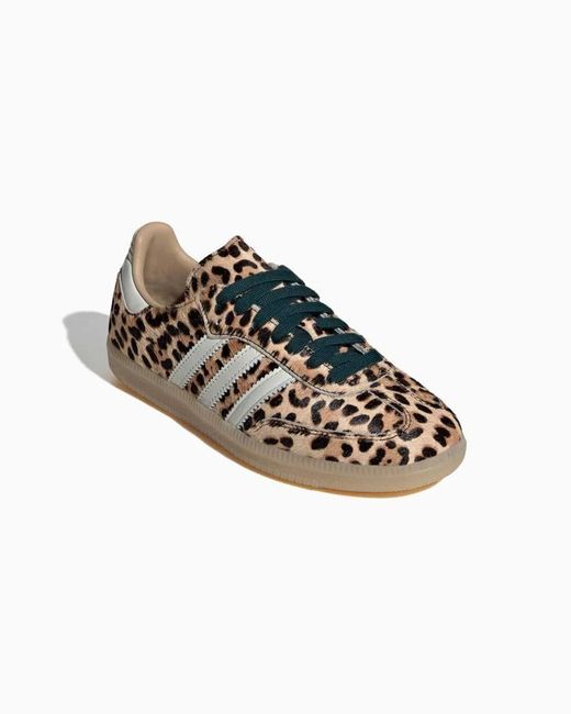 Adidas Originals Brown Samba Og W
