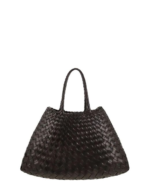 Dragon Black Santa Croce Small