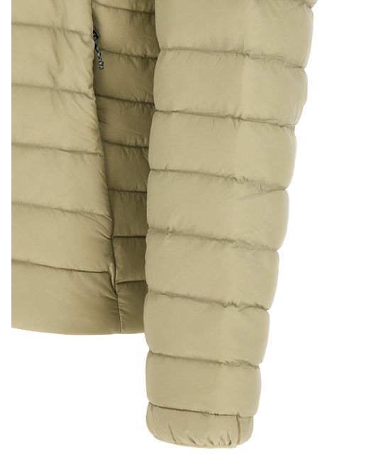 Patagonia Green Netplus Down Jacket for men