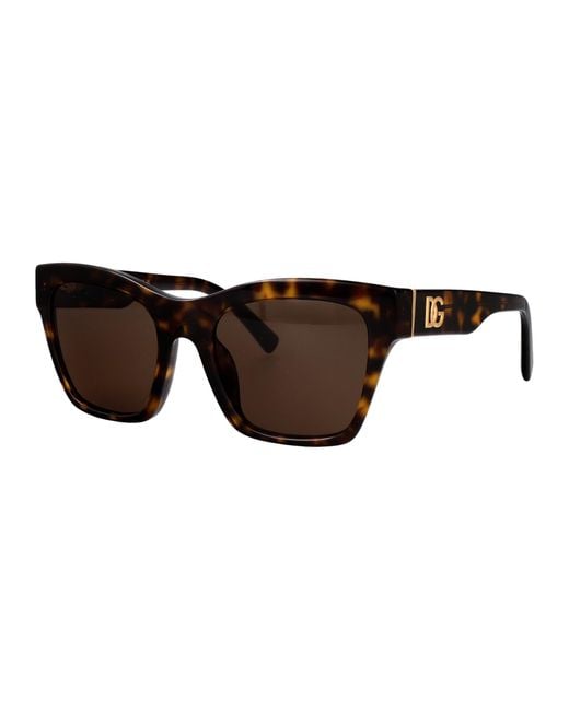 Dolce & Gabbana Brown Dolce & Gabbana Acetate Sunglasses