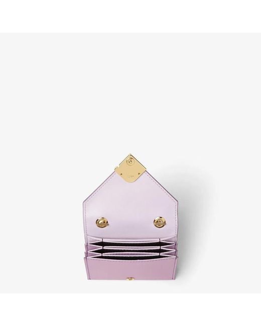 Fendi Pink Card Case With Chain V.King/C