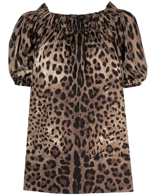 Dolce & Gabbana Brown Dolce & Gabbana Leopard Print Poplin Short-Sleeved Top