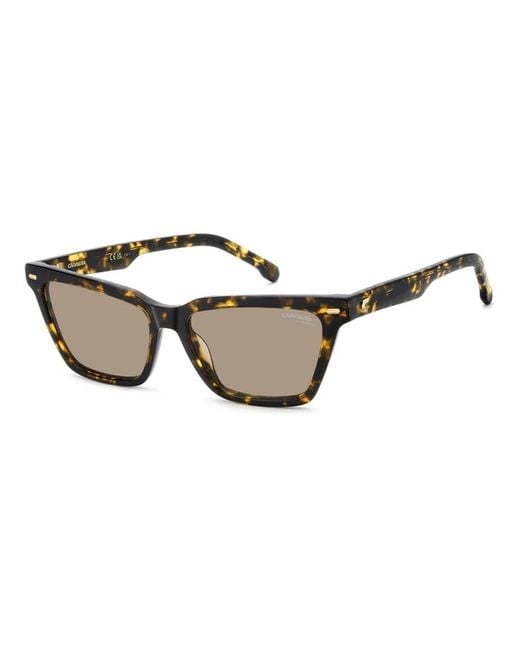 Carrera Brown 3083/S 086(70)