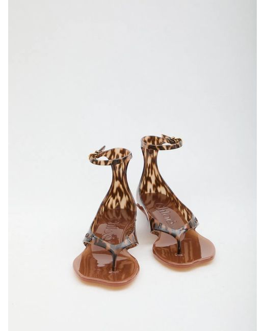 Chloé Multicolor Jelly Sandals