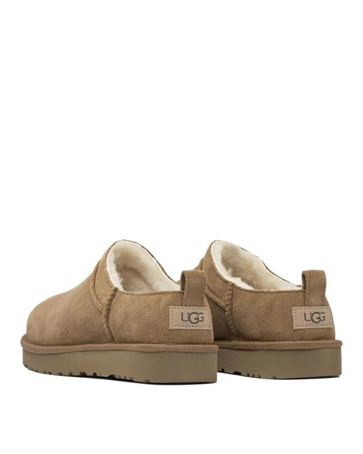 Ugg Brown Stivaletti "Classic Micro"