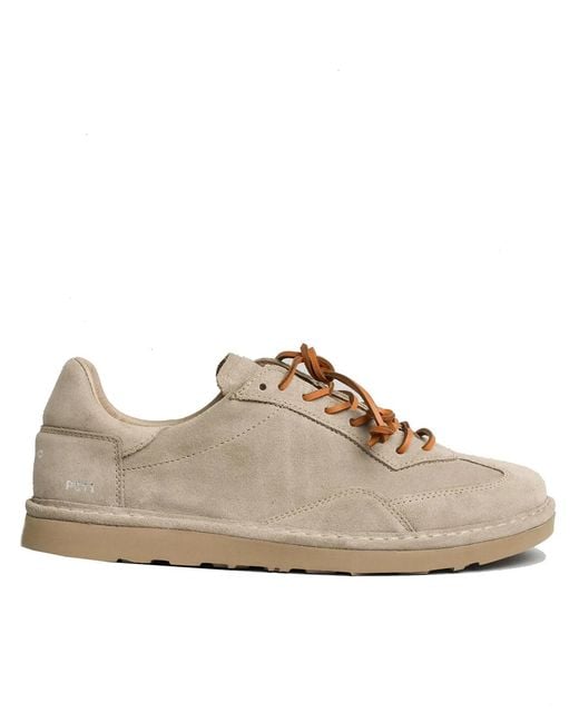 Pànchic Brown Lace-Up Shoe for men