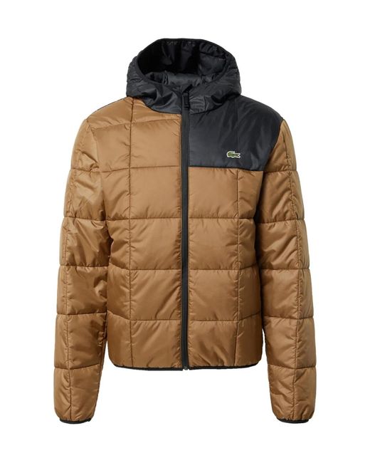 Lacoste Brown Waterproof Colour-Block Puffer Jacket for men