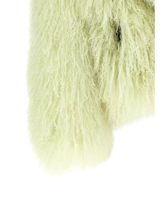 Blancha Yellow 'Mongolia' Fur