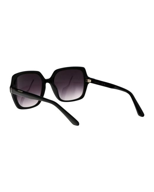 Calvin Klein Black Acetate Sunglasses