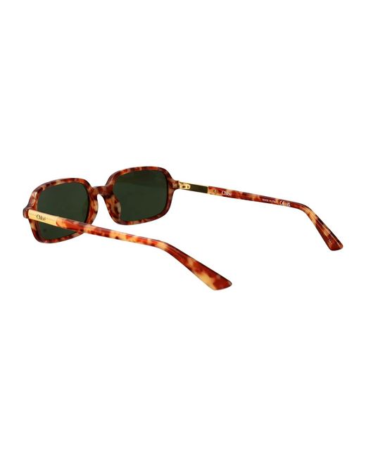 Chloé Green Havana-Havana- Acetate Sunglasses