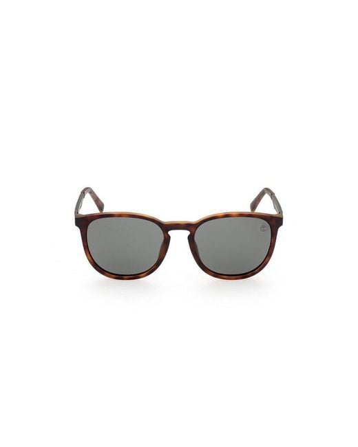 Timberland Brown Tb9235 52R for men