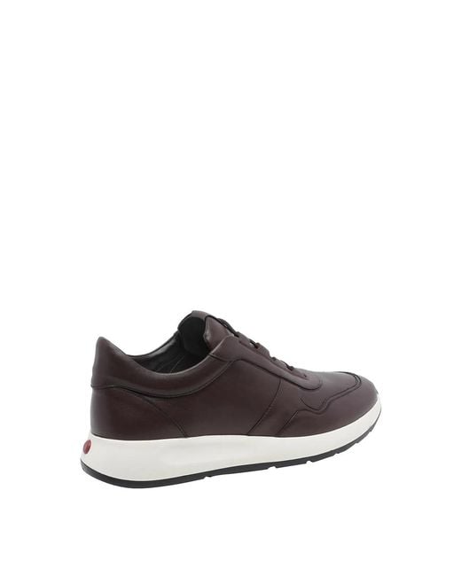 Tod's Brown Dot Sneakers for men
