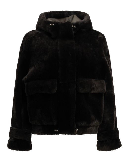 Blancha Black Jackets & Coats