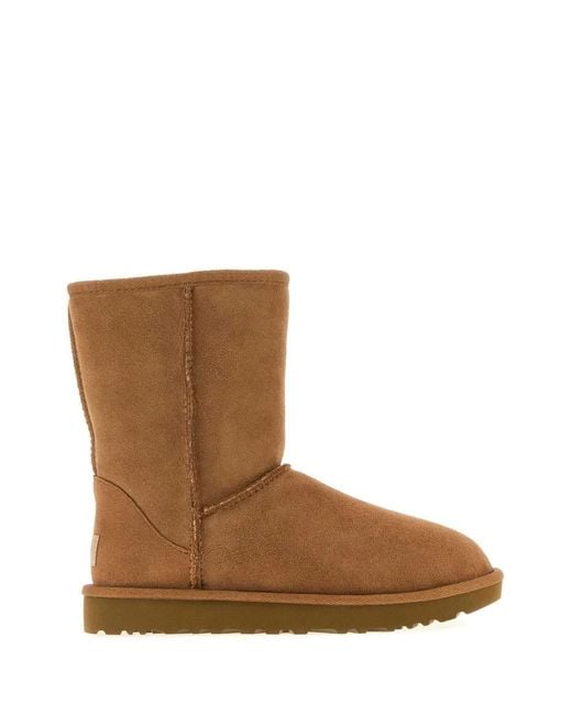 Ugg Brown Classic Short Ii Suede Boots
