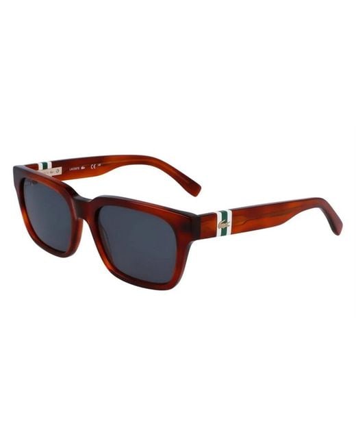 Lacoste Brown L6007S 218 for men