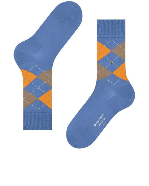 Burlington Blue Calze Manchester for men
