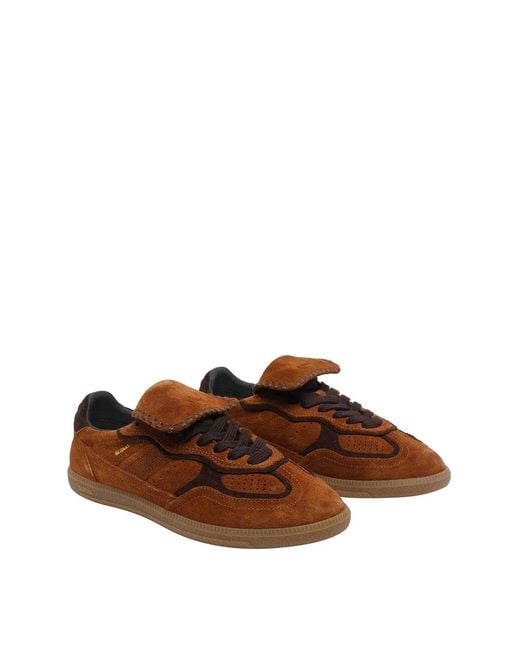 Alohas Brown "Tb 490" Low-Top Sneakers