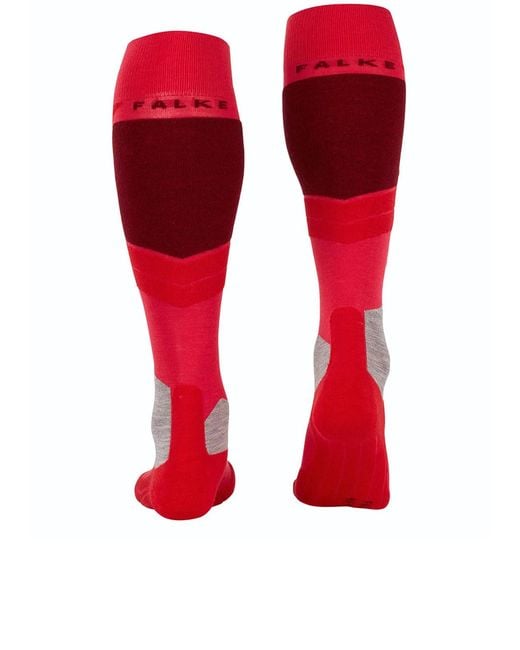 Falke Red Sk4
