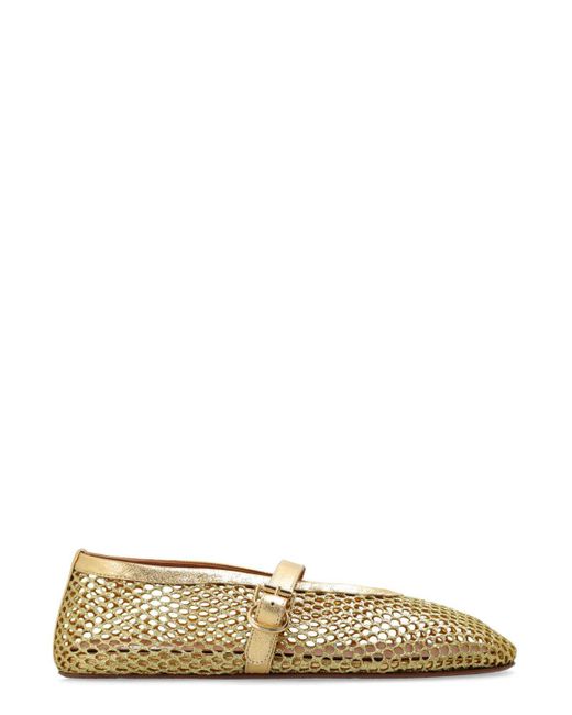 Alaïa Multicolor Ballet Flat