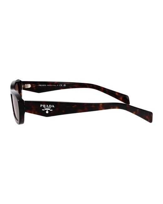 Prada Brown Acetate Sunglasses