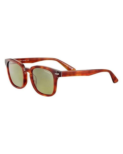 Serengeti Brown Ethan Ss575003