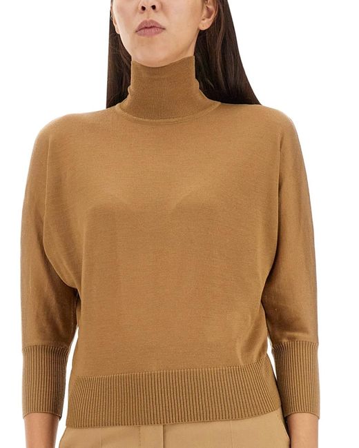 Max Mara Brown Wool Jersey