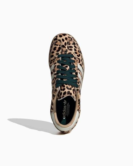 Adidas Originals Brown Samba Og W