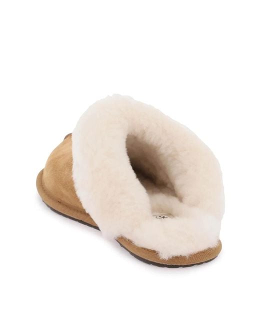 Ugg Brown Ciabatta Scuffette Ii