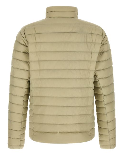 Patagonia Green Netplus Down Jacket for men