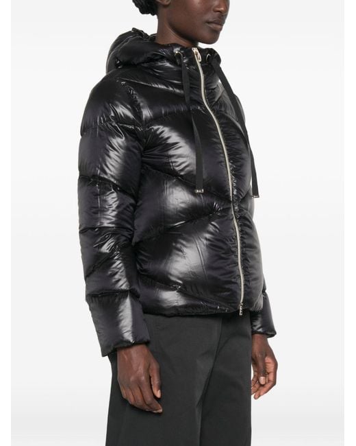 Herno Black Short Down Jacket
