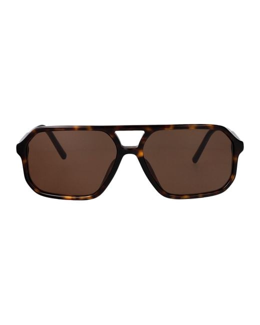 Dolce & Gabbana Brown Dolce & Gabbana Acetate Sunglasses