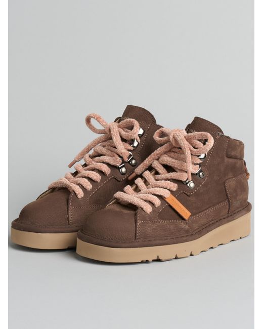 Pànchic Brown Clay